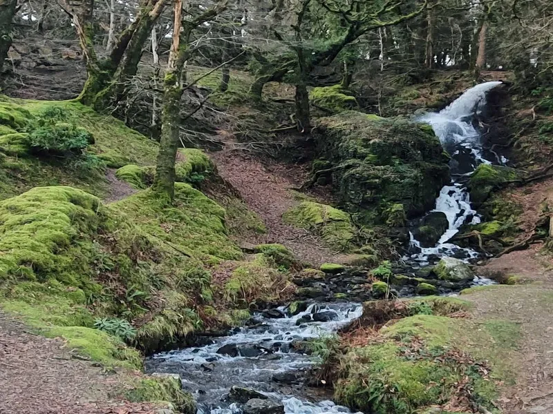 Drakes Trail